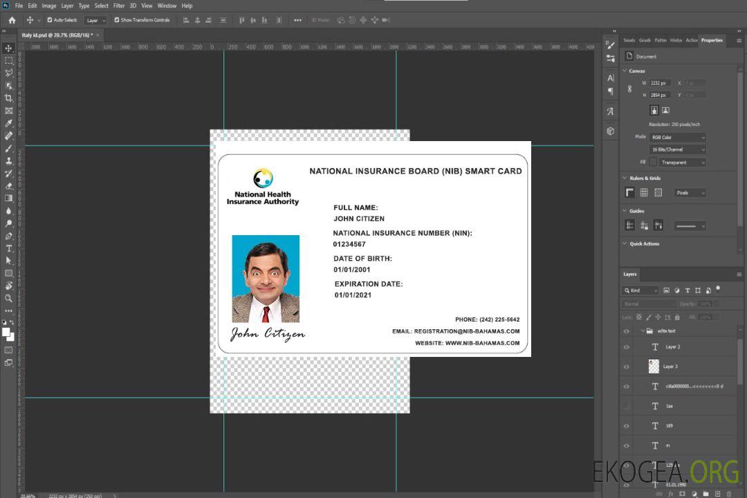 Carte d'assurance maladie Bahamas NIB template